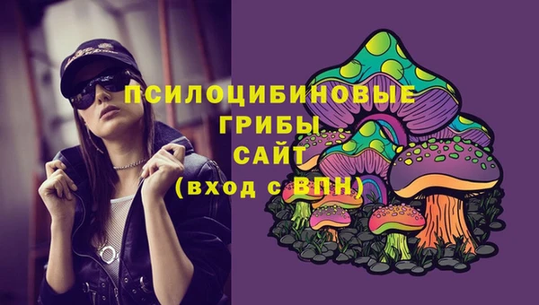 эйфоретик Зеленодольск
