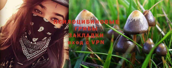 a pvp Зеленокумск