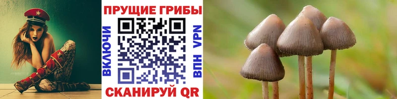 закладка  mega ССЫЛКА  Псилоцибиновые грибы мицелий  Невинномысск 